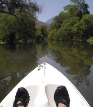 Disfruta del paisaje